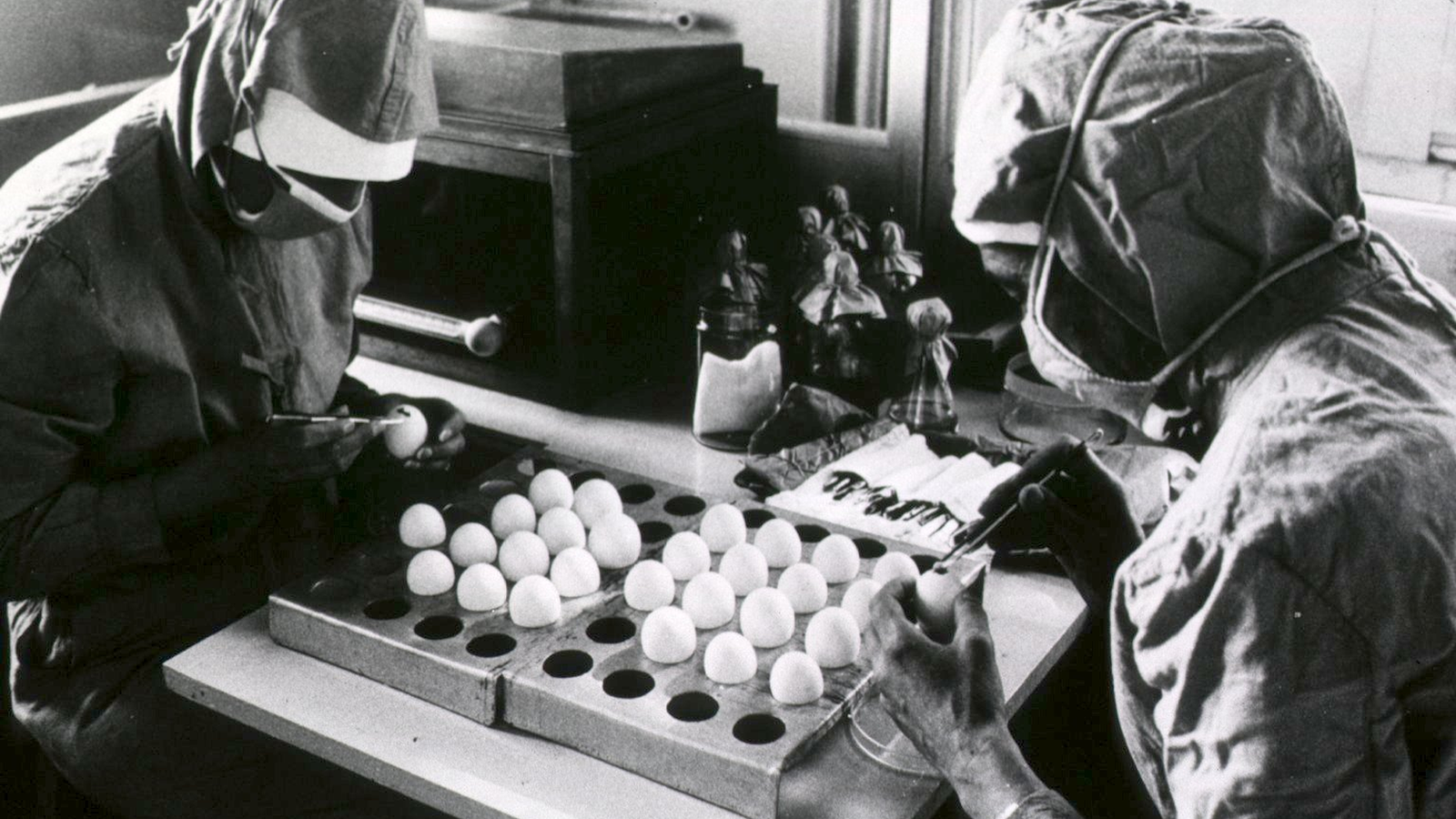 Preparation of measles vaccines