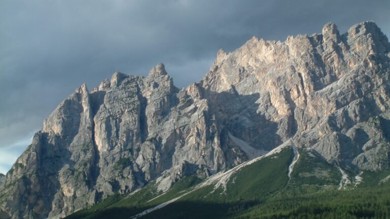 news-sports-2026-02-12